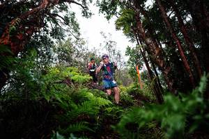 BIB: 
                            <button type="button" onclick="openModal(26204184)" class="btn btn-primary btn-sm float-right btn-popup" data-toggle="modal" data-target=".modal-high-quality">
                        <i class="fas fa-shopping-cart"></i> Add to Cart
                    </button>
                                            <button type="button" onclick="isThisMe(26204184, true)" class="btn btn-success btn-sm float-right btn-popup btn-isme hidden" data-toggle="tooltip" data-placement="bottom" title="นี่คือรูปของคุณใช่ไหม คลิกที่นี่เพื่อเอาเข้าอัลบั้ม">
                        <i class="fas fa-plus"></i> Add to album
                    </button>
                    <button type="button" onclick="isThisMe(26204184, false)" class="btn btn-warning btn-sm float-right btn-popup btn-isnotme hidden">
                        <i class="fas fa-ban"></i> Remove from album
                    </button>